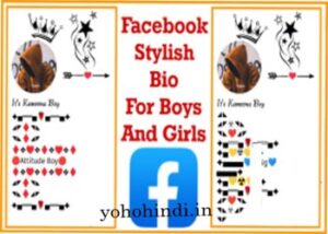 facebook stylish bio in hindi