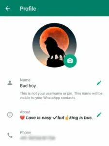 Whatsapp Bio For Boys & Girls