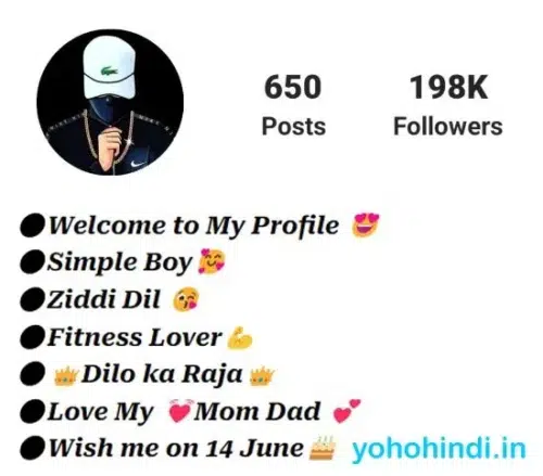 550 Best Instagram Bio For Boys Attitude Stylish Bio 2023 