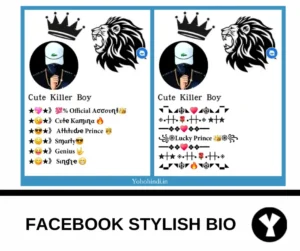 Facebook Stylish Bio