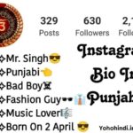 Instagram bio in Punjabi