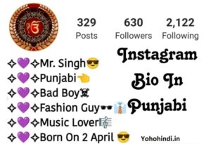 Instagram bio in Punjabi