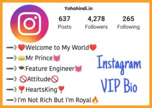 Stylish Instagram vip bio
