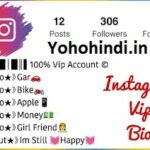 Instagram VIP Bio
