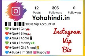 Instagram VIP Bio