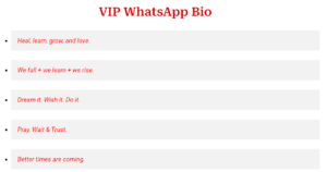 Free VIP WhatsApp Bio 2024
