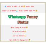 Funny Whatsapp Bio