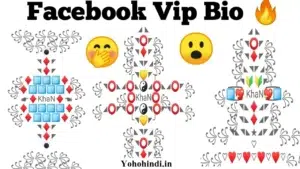 facebook vip bio stylish