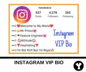 instagram vip bio