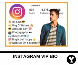 Stylish Bio for Instagram for boy