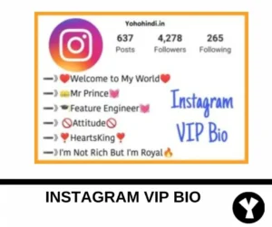 instagram VIP Bio stylish