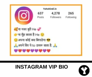 instagram Vip bio Hindi