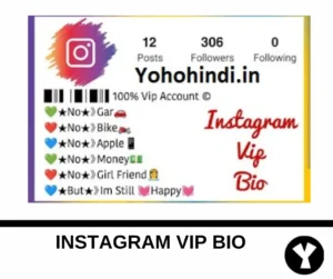 Instagram Vip Bio Attitude