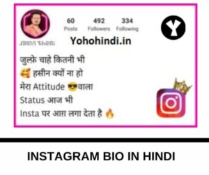 Instagram Attitude Bio in Hindi