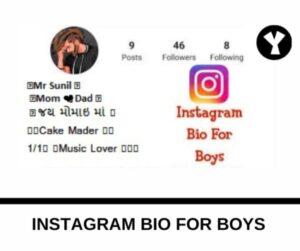 instagram bio for boys attitude