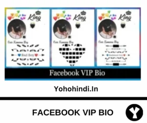 Facebook vip bio 2024